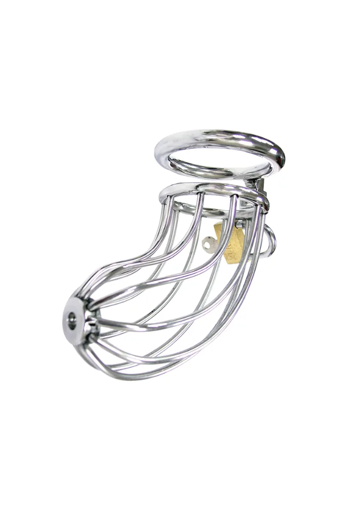Cage de chasteté ajourée avec cadenas en acier disponible chez 1969